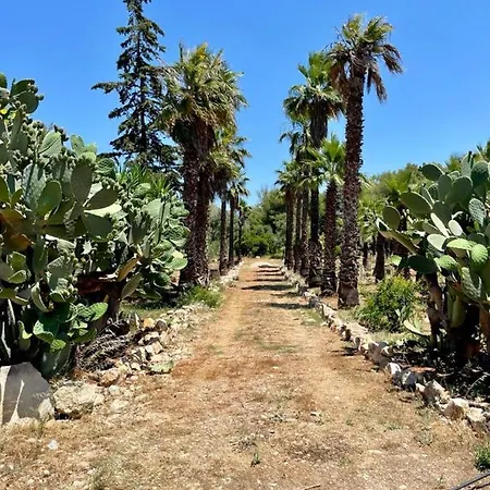 Nyaraló Capurre 