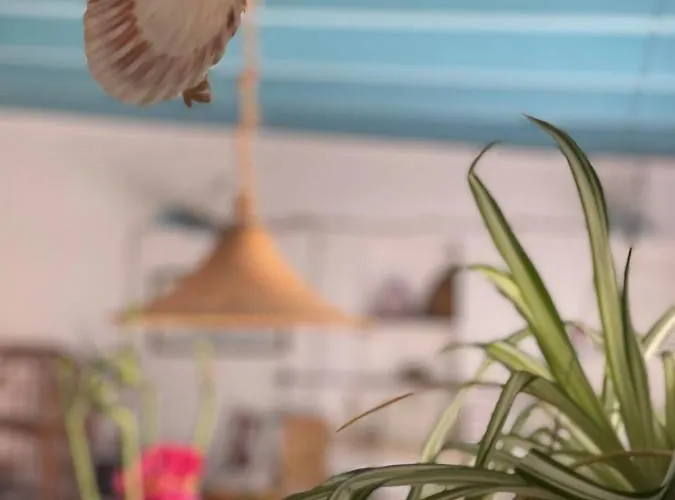 Holiday home Capurre 